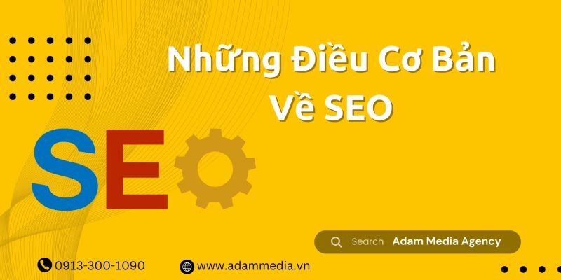 Những Điều Cơ Bản Về SEO