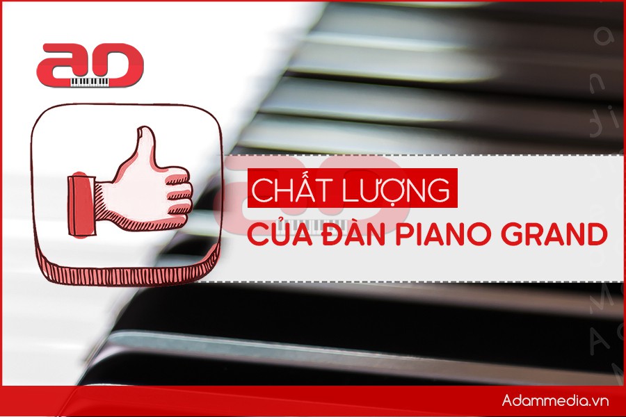 Cho thuê đàn Piano Grand