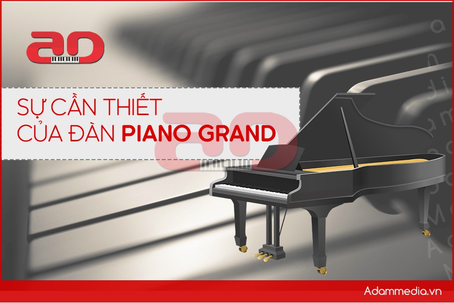 cho-thue-dan-piano-grand-4